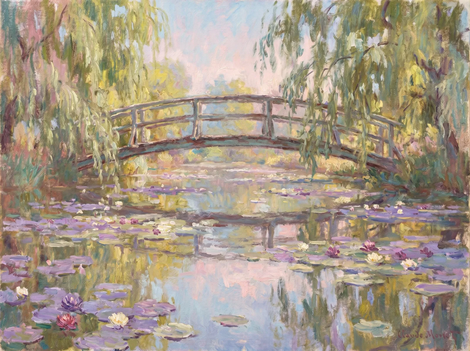 Water lily pond